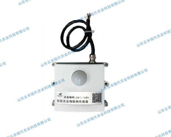 ���Ղ�����